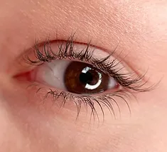 TINTING & SHAPING 1 Eylash Tinting Perfect Place by Iryna Sakharova