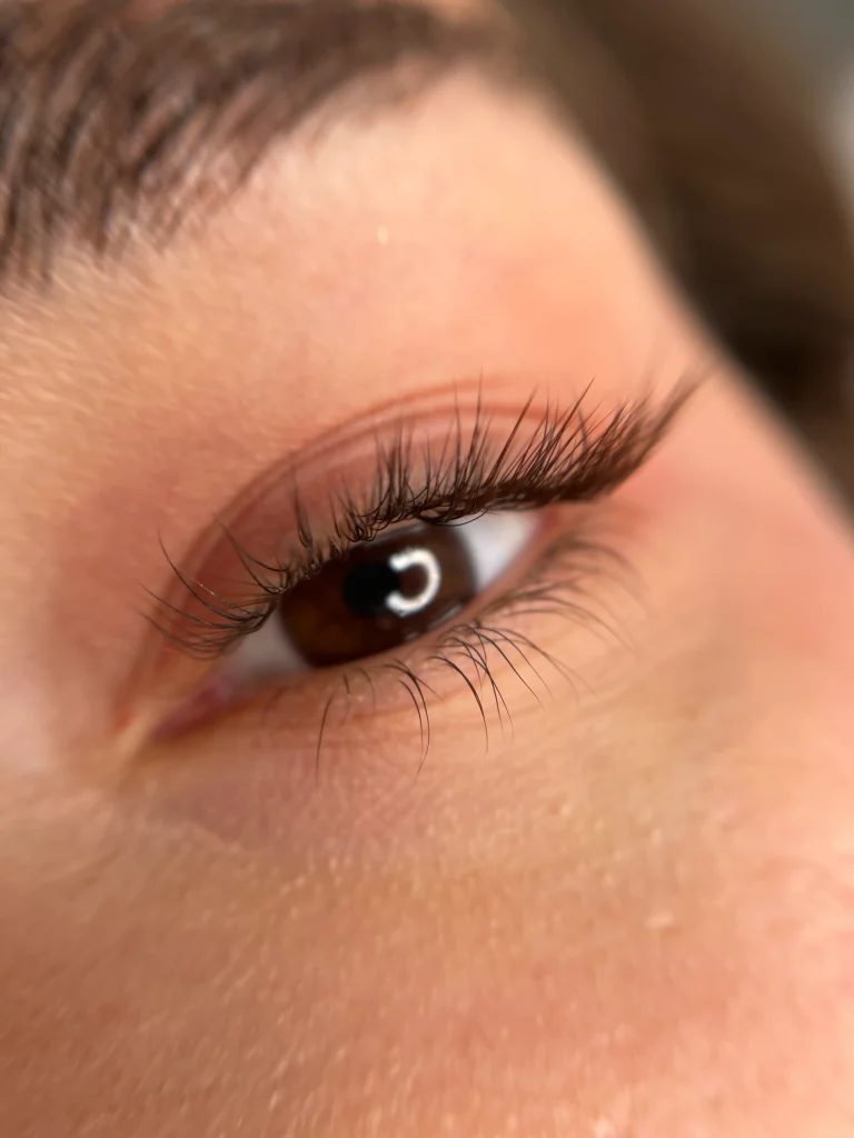 Eyelash Extension 10