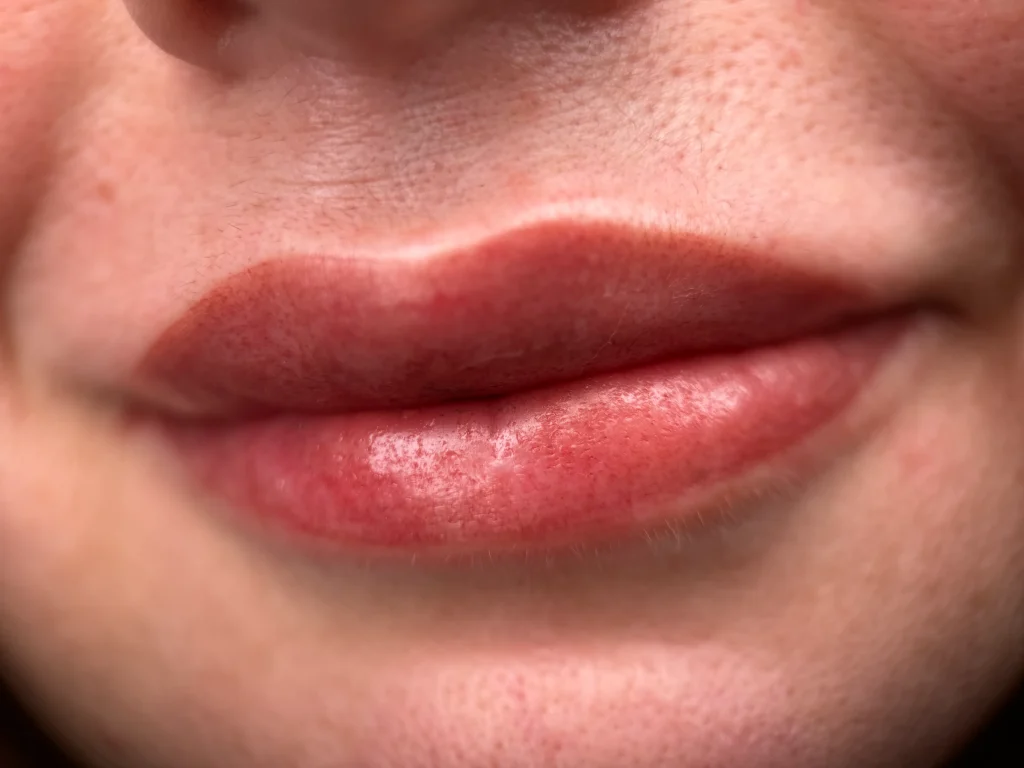 PMU Lips (14)